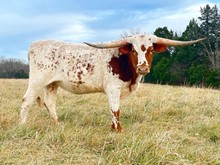 WSR SAMI FIREWATER